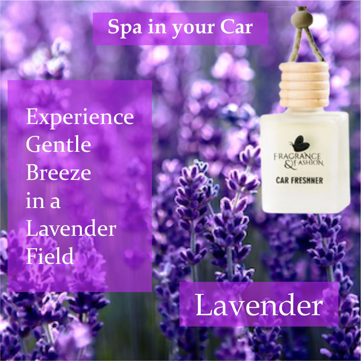 5. Lavender-Car Air Freshener 10 mL "Spa in Your Car" FREE SHIPPING